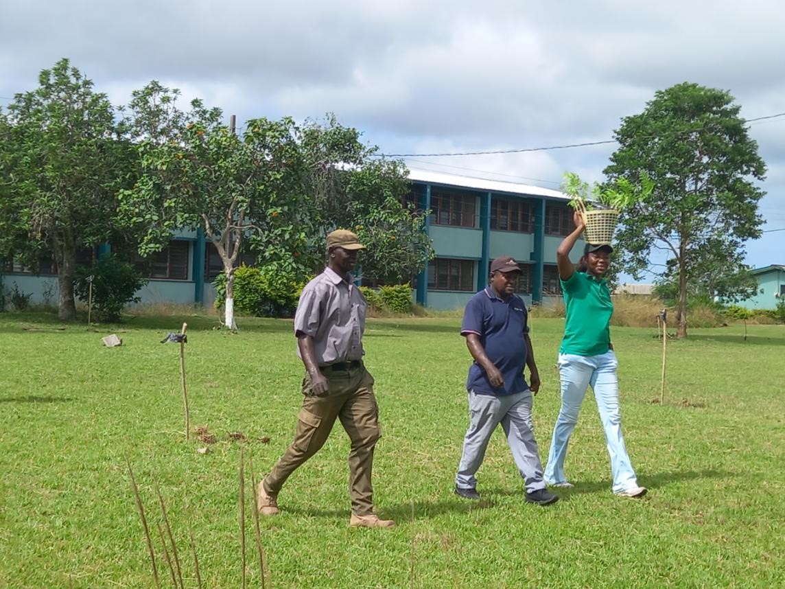 OFFINSO COLLEGE OF EDUCATION (OFCE) GOES GREEN ON GREEN GHANA DAY